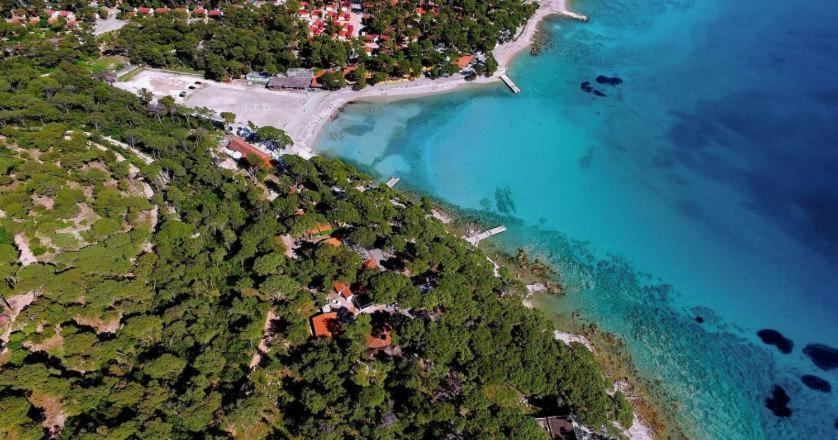 Biograd Mobile Home Oasis Biograd Na Moru Eksteriør bilde